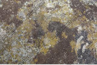 Photo of Mixed Textures